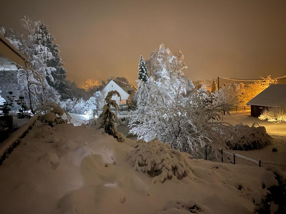 Chez Nono Villa Mitzach Buitenkant foto